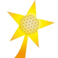 Shine English El Salvador logo - Similar company to Kostiv Cardinal