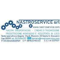 nastroservice logo - Similar company to Moolty