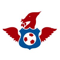 Liverpool Homeless Football Club logo - Similar company to Apollo Summit