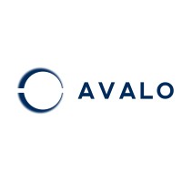 Avalo logo - Similar company to The Big Push