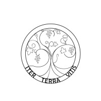 Iter Terra Vitis logo - Similar company to Glancy Wine Education Foundation