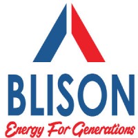BLISON CO. LIMITED logo - Similar company to Srne Solar