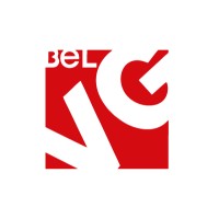 BelVG logo - Similar company to Lepshey – Experts In Design