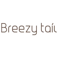 브리지테일 Breezytail logo - Similar company to Ct Corp.