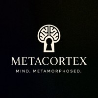 MetaCortex logo - Similar company to Open Lab - Imt School For Advanced Studies Lucca