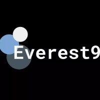 Everest9 logo - Similar company to The Igniters