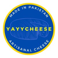YayyCheese logo - Similar company to Technoknowledge (Pvt Ltd)