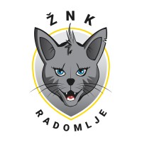 Women's Football Club Radomlje (ZNK Radomlje Medex) logo - Similar company to Kingston Stockade Football Club (Stockade Fc)