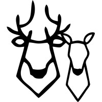 Huapango Digital logo - Similar company to Netpoint