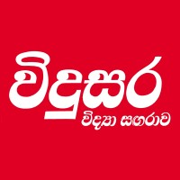 Vidusara Online logo - Similar company to Dezign24X7