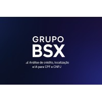 Grupo BSX logo - Similar company to Mood | Academia Boutique