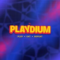Playdium logo - Similar company to Dps