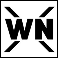 WebNovX logo - Similar company to Swasthya
