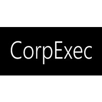 CorpExec Partners logo - Similar company to Nicg