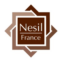 Nesil France logo - Similar company to Iboo Studio