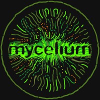 Mycelium Ecology