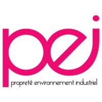 PEI logo - Similar company to T2Mc
