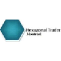 Hexagonal Trader logo - Similar company to Ehko Commodity Inc.