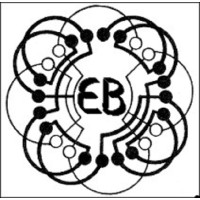Elettromeccanica Bresciana SRL logo - Similar company to Fdt Depuratori D’Acqua