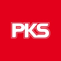 PKS | skupina firem logo - Similar company to Infinite Solution A.S.
