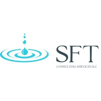SFT Consulting Services logo - Similar company to Plumreward