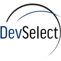 DevSelect, LLC logo - Similar company to Spaceplay Games