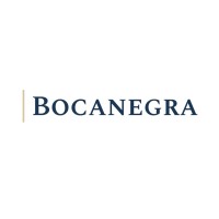 Bocanegra Asset Management LP logo - Similar company to Access Homes