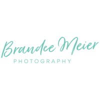 Brandee Meier Photography logo - Similar company to Active Intelligence Drone Services