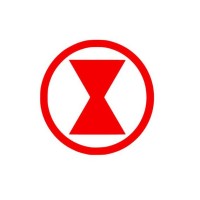Survivor Ventures logo - Similar company to Delaware Black Chamber Of Commerce