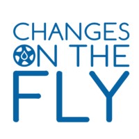 Changes On The Fly logo - Similar company to Baseline Pickleball