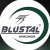 BLUE STALLION EQUIPMENTS PRIV LIMITED logo - Similar company to Sun Source Energy - Nv