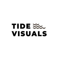TideVisuals logo - Similar company to Hd Learning Ltd