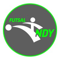 Futsal Indy logo - Similar company to Futsal Oz