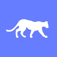Leopard.FYI logo - Similar company to Ripplematch