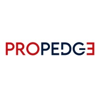Propedge logo - Similar company to Vintage Space Llp