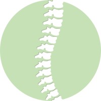 Noralign - Functional Rehabilitation