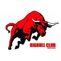 BIGBULL CLUB PRIVATE LIMITED logo - Similar company to Technical Trade Consultancy