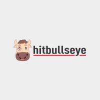Hitbullseye logo - Similar company to Tekservs Cons Ltd Co
