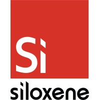 siloxene AG logo - Similar company to Reddytec
