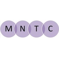 MNT CONSULTING LIMITED logo - Similar company to Mnt Management Services