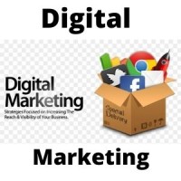 SEO Digital Marketing Services logo - Similar company to Seo Clicks Pro