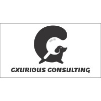 Cxurious Consulting logo - Similar company to Artpillz
