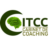 Cabinet ITCC logo - Similar company to Congo Mindset