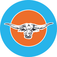 Flying Buffalo UK logo - Similar company to After New