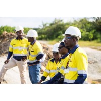Suremines Gold and Diamond Mining Company (SL) logo - Similar company to Diamond Mine Group