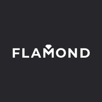 Flamond logo - Similar company to Vlah Software House