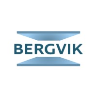 Bergvik Africa logo - Similar company to Bergvik Group