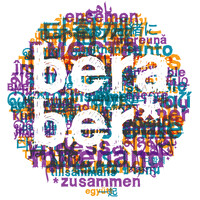 Verein beraber Bern logo - Similar company to Verein Beraber
