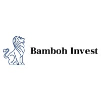 Bamboh Invest logo - Similar company to Cyberxprotect