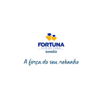 Sansão Nutrição Animal logo - Similar company to Fortuna Nutripontes